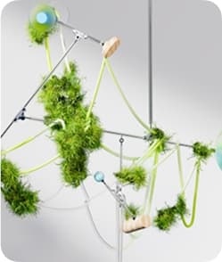 Network Connections